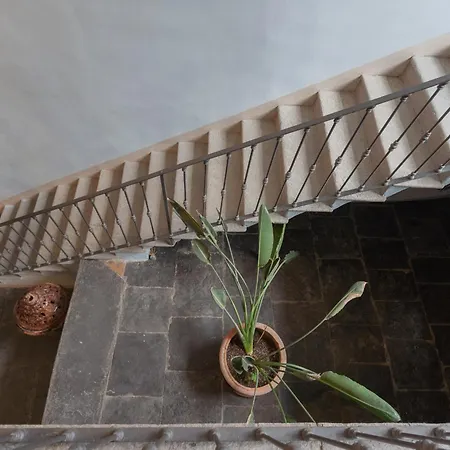 Design By Rent * Torno