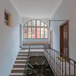 Design * 托尔诺