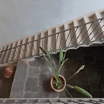 Design * 托尔诺