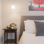 Design * 托尔诺
